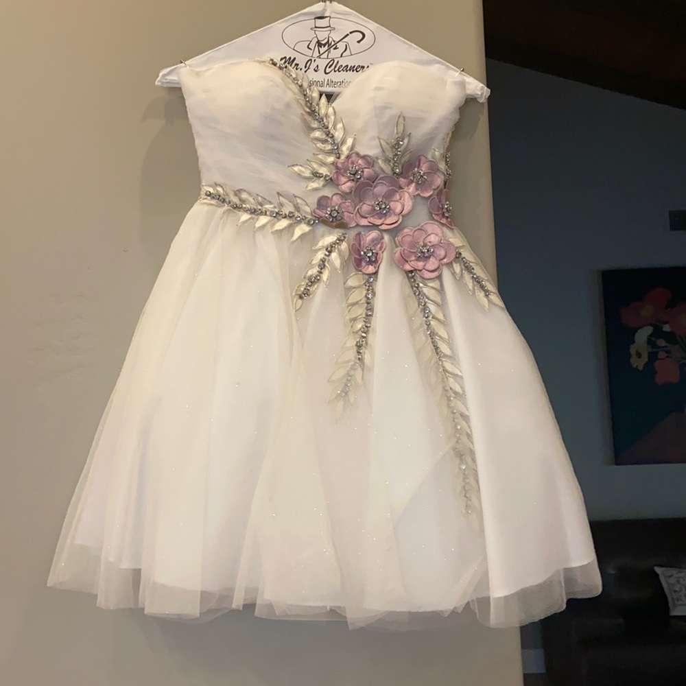 Terani Couture Dress